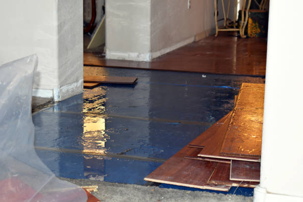 Professional Emergency Water Damage Restoration technician working in Glendale, CA